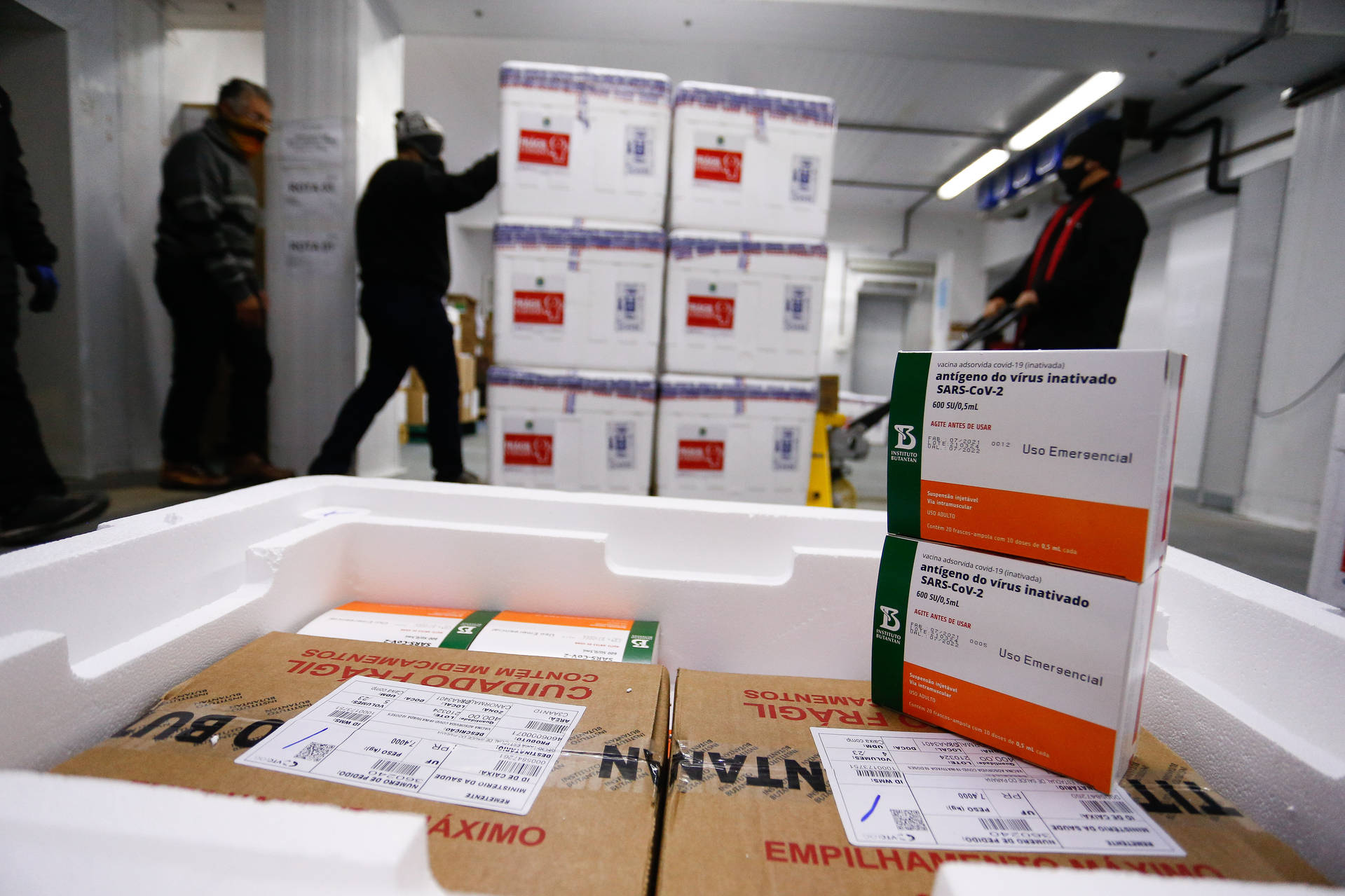 Paraná recebe 55,2 mil vacinas contra a Covid-19 para segunda dose na população adulta